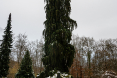 Wiesbaden_Nordfriedhof_Jan202317
