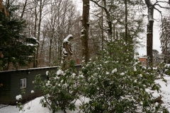 Wiesbaden_Nordfriedhof_Jan202319