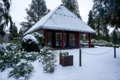 Wiesbaden_Nordfriedhof_Jan20237