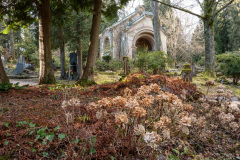 Nordfriedhof_Januar_2510