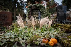 Nordfriedhof_Januar_2515