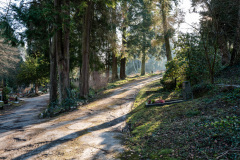 Nordfriedhof_Januar_2519