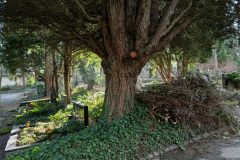 Nordfriedhof_Januar_256