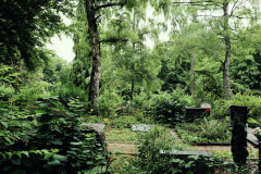 Nordfriedhof_juli_25-1003394