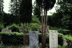 Nordfriedhof_juli_25-1003405