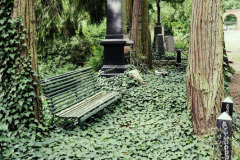 Nordfriedhof_juli_25-1003431