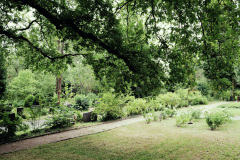 Nordfriedhof_juli_25-1003436