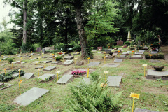 Nordfriedhof_juli_25-1003440