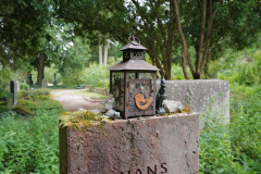 Nordfriedhof_juli_25-1003450