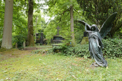 Nordfriedhof_juli_25-1003463