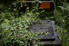 altergrbstein-8018