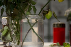 columbatium_ rosenstile-8078