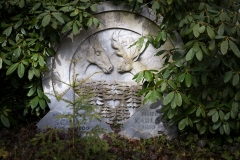 hirsch-7747