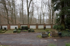 mauer_weg-8148