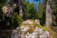 Nordfriedhof_0514-8583