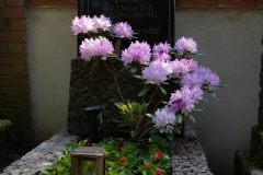 Nordfriedhof_0518-8633