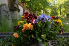 Nordfriedhof_0519-8644