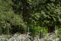 Nordfriedhof3