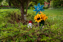 Nordfriedhof_Mai13