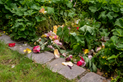 Nordfriedhof_Mai5