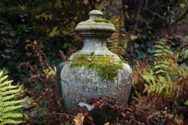 urne_buesing-4894