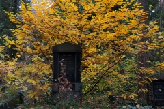 grabmal_herbst-4993