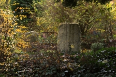 stein_gelb-4904