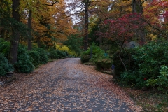 Wiesbaden_Nordfriedhof_201811#1-0378