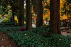 Wiesbaden_Nordfriedhof_201811#12-0444