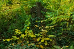 Wiesbaden_Nordfriedhof_201811#16-0483