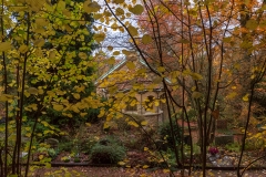 Wiesbaden_Nordfriedhof_201811#27-0551