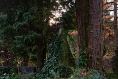 Wiesbaden_Nordfriedhof_201811#40-0836