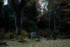 Nordfriedhof_Zwielicht11-1109