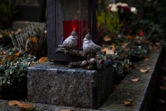 Nordfriedhof_Zwielicht21-61507
