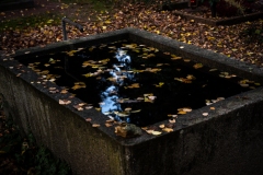 Nordfriedhof_Zwielicht222-61513
