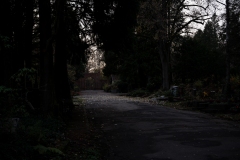Nordfriedhof_Zwielicht26-61527