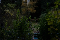 Nordfriedhof_Zwielicht6-1090