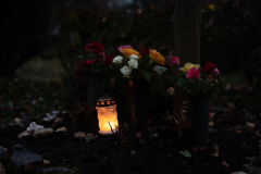 blumen