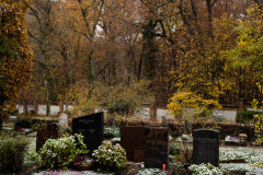 NordfriedHof_11_202211