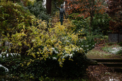 NordfriedHof_11_202212
