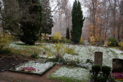 NordfriedHof_11_202215