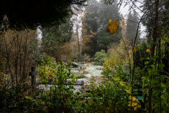 NordfriedHof_11_202217