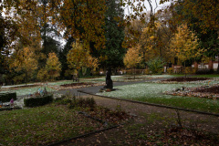 NordfriedHof_11_202224