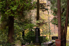NordfriedHof_11_202227