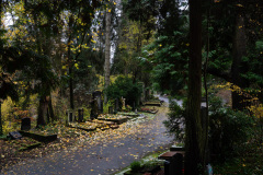 NordfriedHof_11_202228
