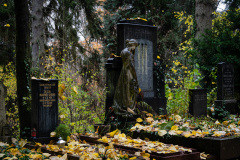 NordfriedHof_11_202229
