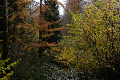 NordfriedHof_11_202230