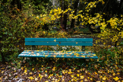 NordfriedHof_11_202233