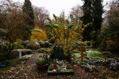 NordfriedHof_11_20226