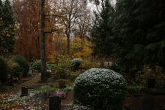 NordfriedHof_11_20228